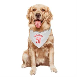 Houston Rockets Boban Marjanovic White Pet Bandana for Dog & Cat