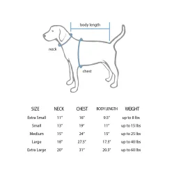 Houston Rockets Josh Okogie Blue Pet Jersey for Dog & Cat