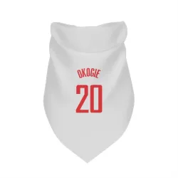 Houston Rockets Josh Okogie White Pet Bandana for Dog & Cat