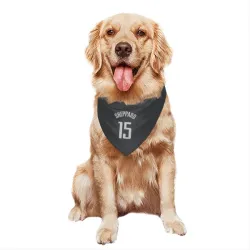 Houston Rockets Reed Sheppard Black Pet Bandana for Dog & Cat