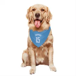 Houston Rockets Reed Sheppard Blue Pet Bandana for Dog & Cat